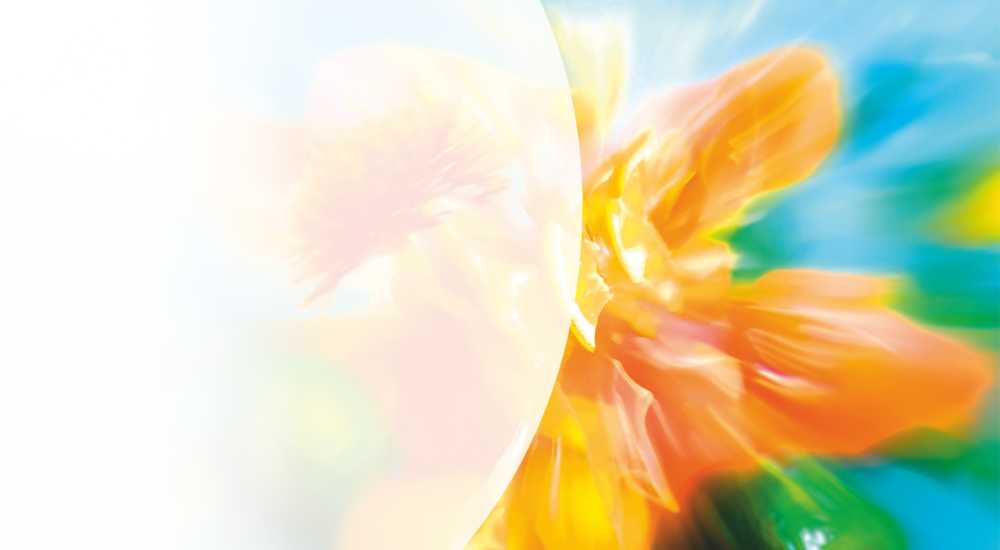 Good Energy emballage fleuri en jaune, orange et rouge.